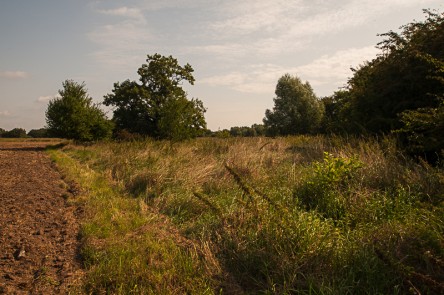 Friedensstraße Bild 3