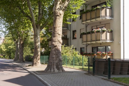 Niemegker Straße 3a Bild 2